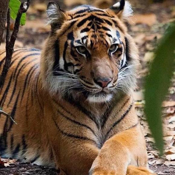 Meet your Posher, Terri - Picture 1 of 1